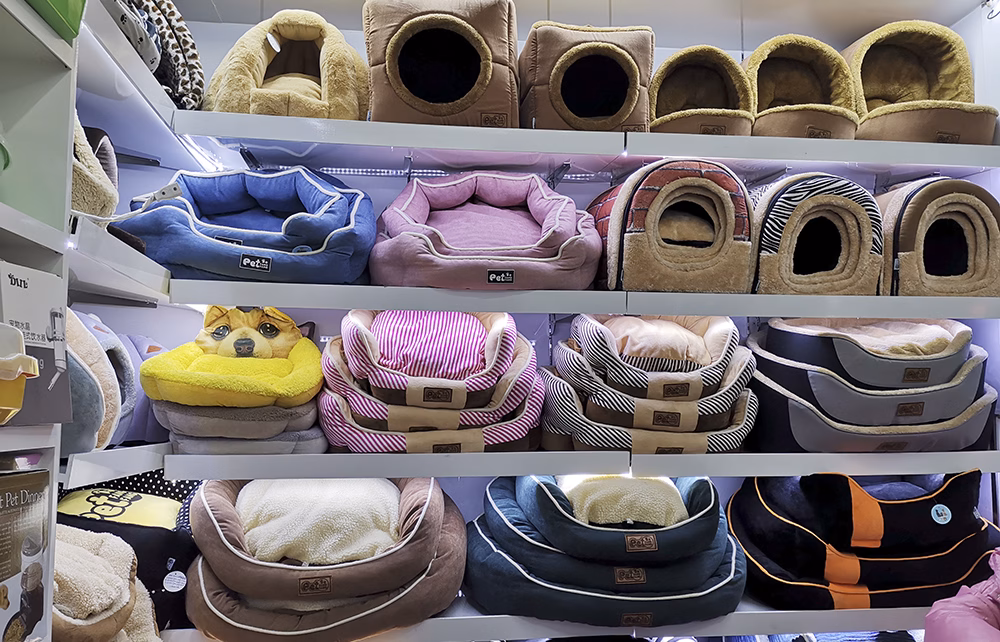 Yiwu pet supplies sourcing